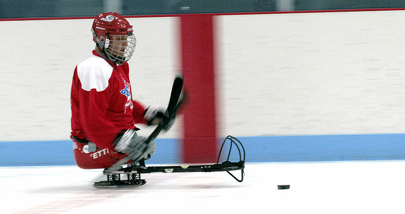 Sledge hockey player