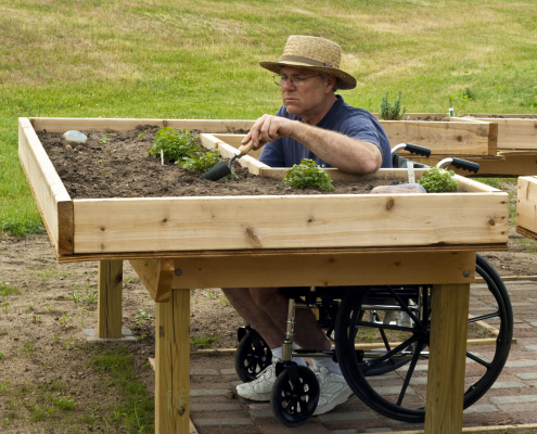 iStock 153495991 wheelchair garden plant scaled 1